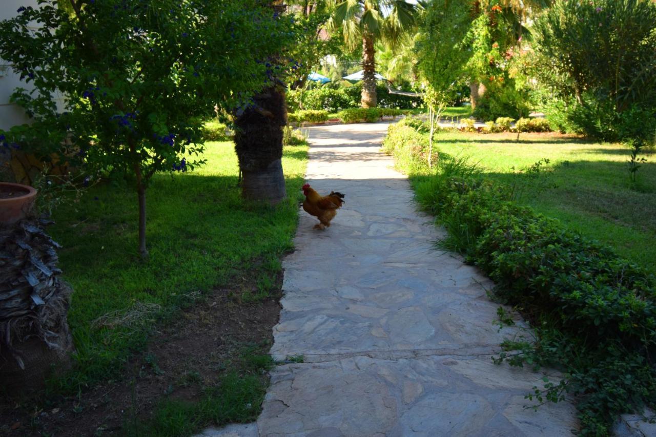 Adrasan Beach Club Otel